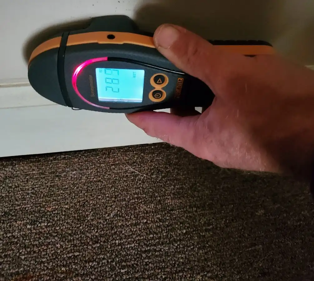 Moisture detection at baseboard during Sewage Cleanup & Sanitation in Red Oak